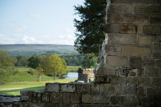 Country-Ruined Wall